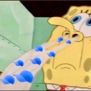 Meet your Posher, Dane